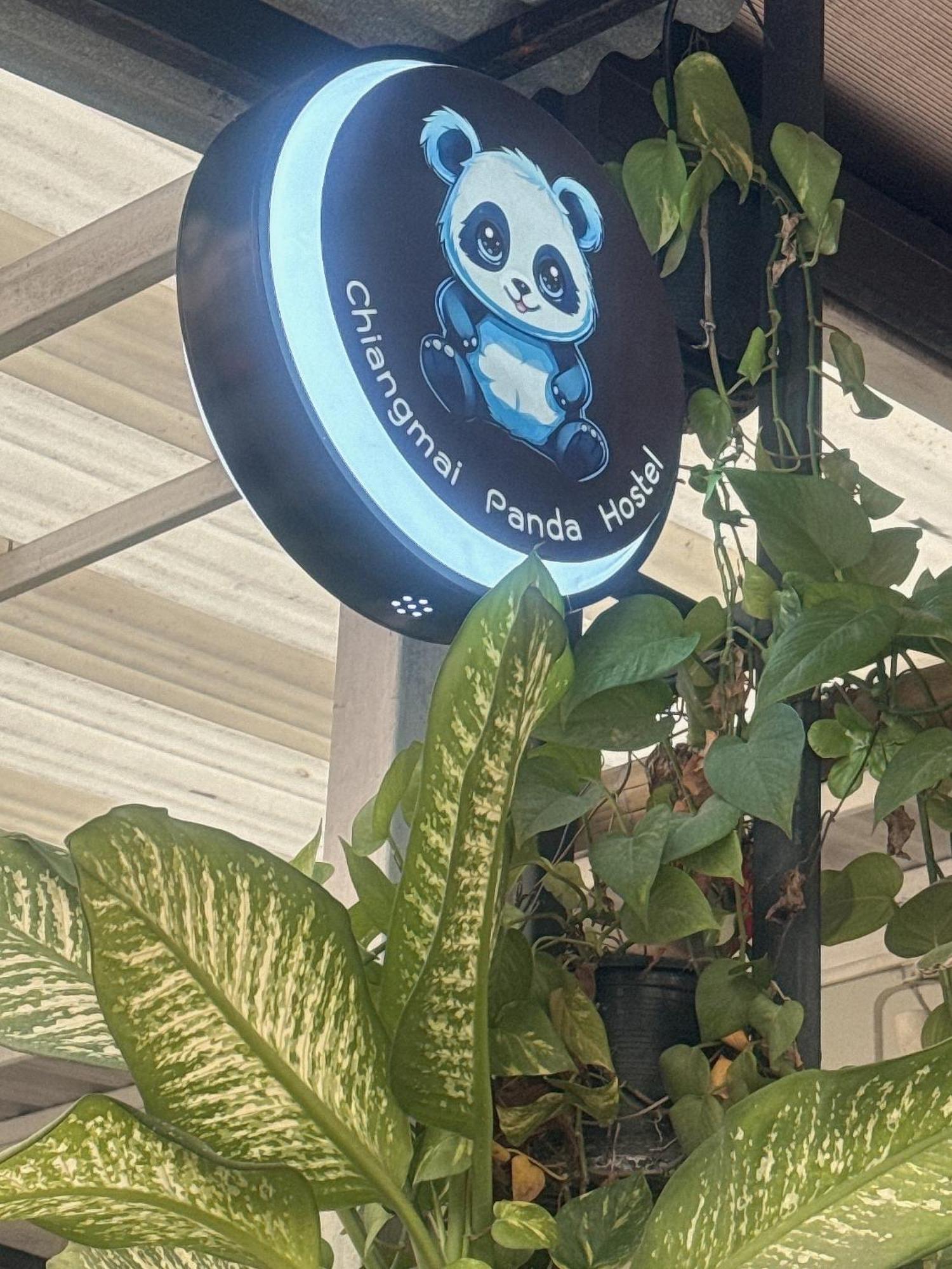 Chiang Mai Panda Hostel Buitenkant foto